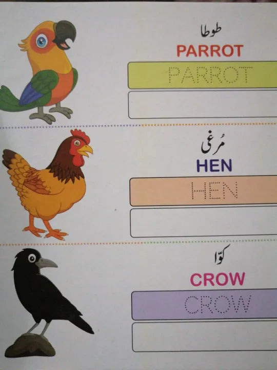 ABC, 123 & Urdu Alphabets (Pack of 3)– My First Book for Kids  | Early Learning Educational Books