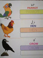 ABC, 123 & Urdu Alphabets (Pack of 3)– My First Book for Kids  | Early Learning Educational Books